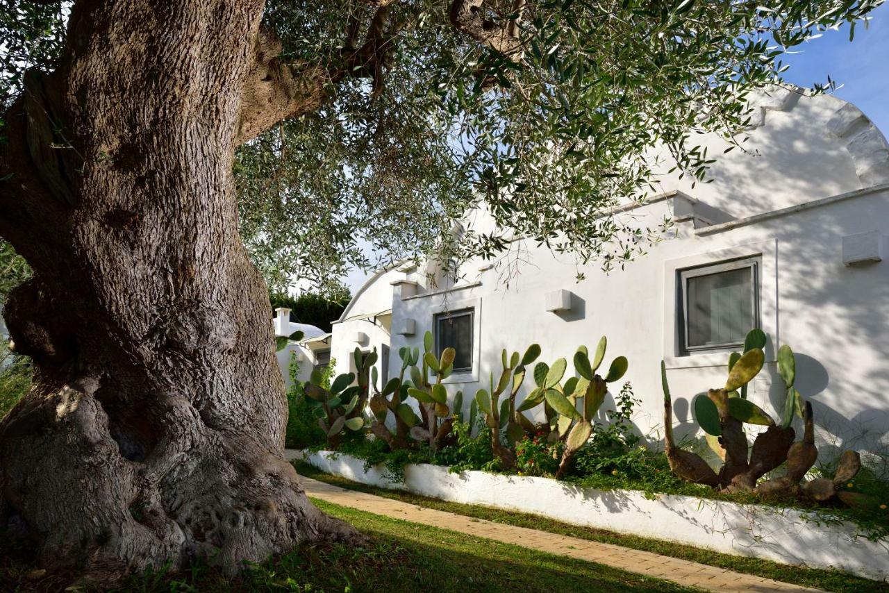 B&B Trullo Barbagiullo 치스테르니노 외부 사진
